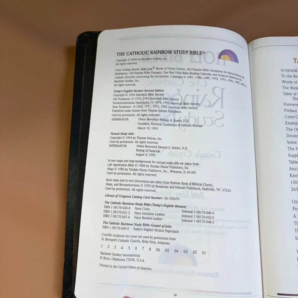 Rainbow Studies International catholic rainbow